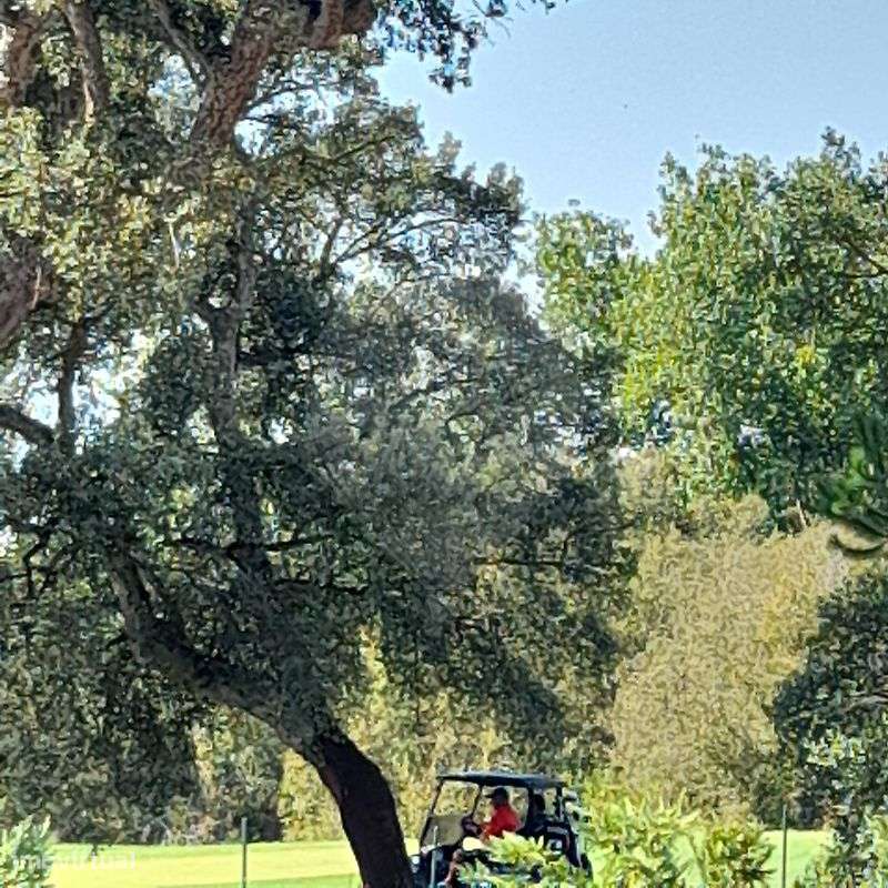 Moradia T3 para venda-33