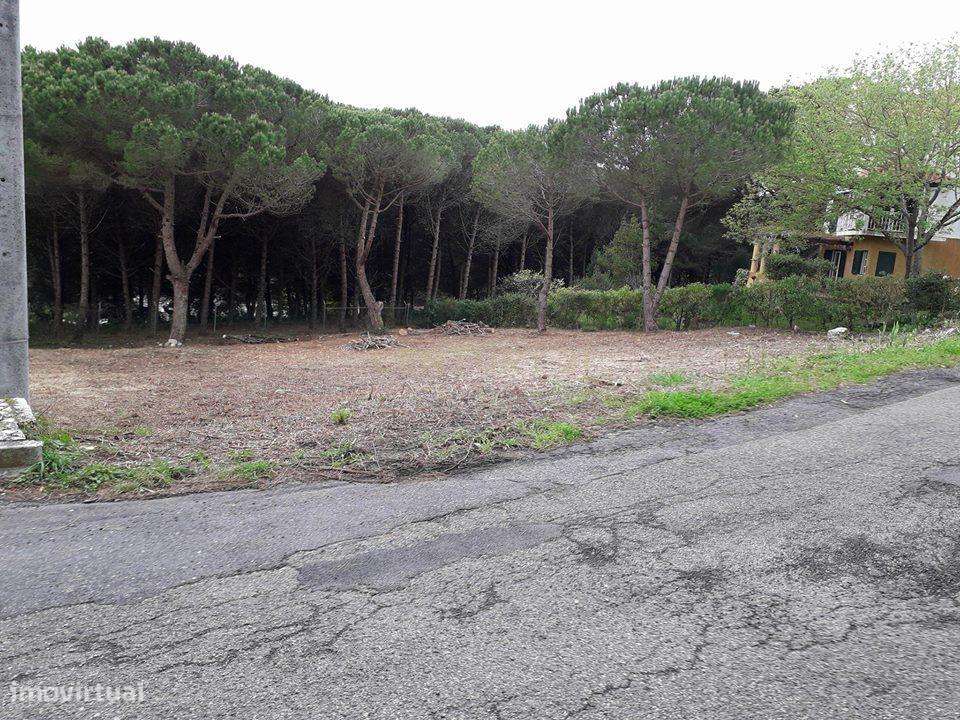 Lote de Terreno Urbano com Vista Deslumbrante – Galamares, Sintra-6