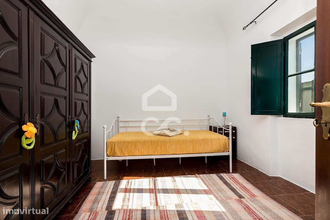 Quinta de 9250m2 c/ Moradia T4 térrea, anexo e armazém | Azaruja-14