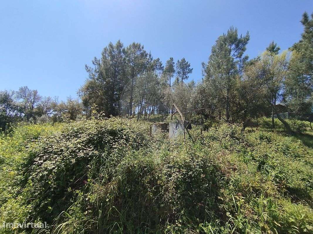 Terreno  para venda - Grande imagem: 5/8