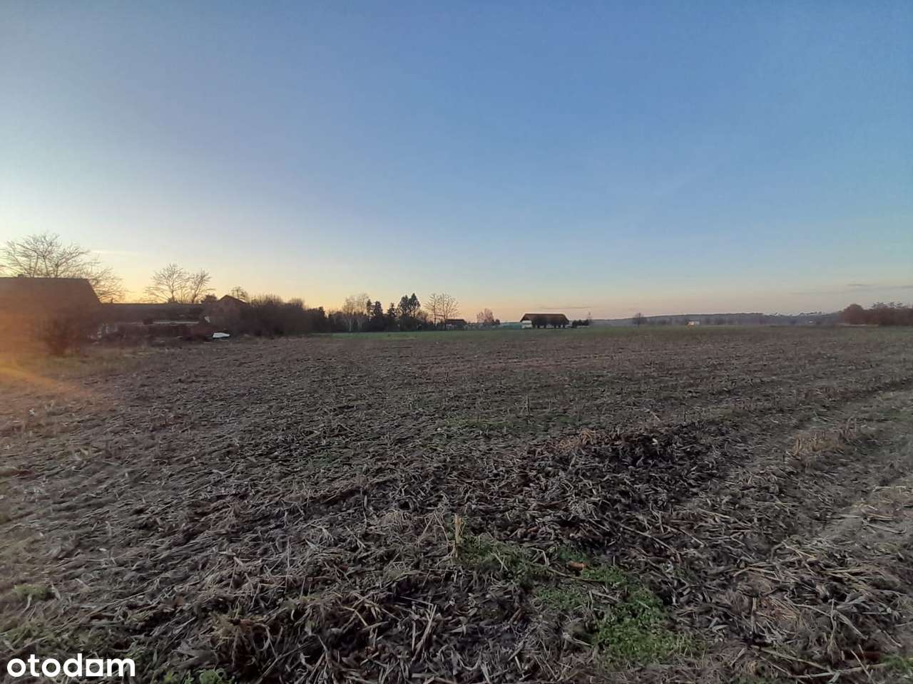 Działka budowlana 3475 m² | Warunki zabudowy | Świniary, pow. górowski - Pełny obrazek: 4/5