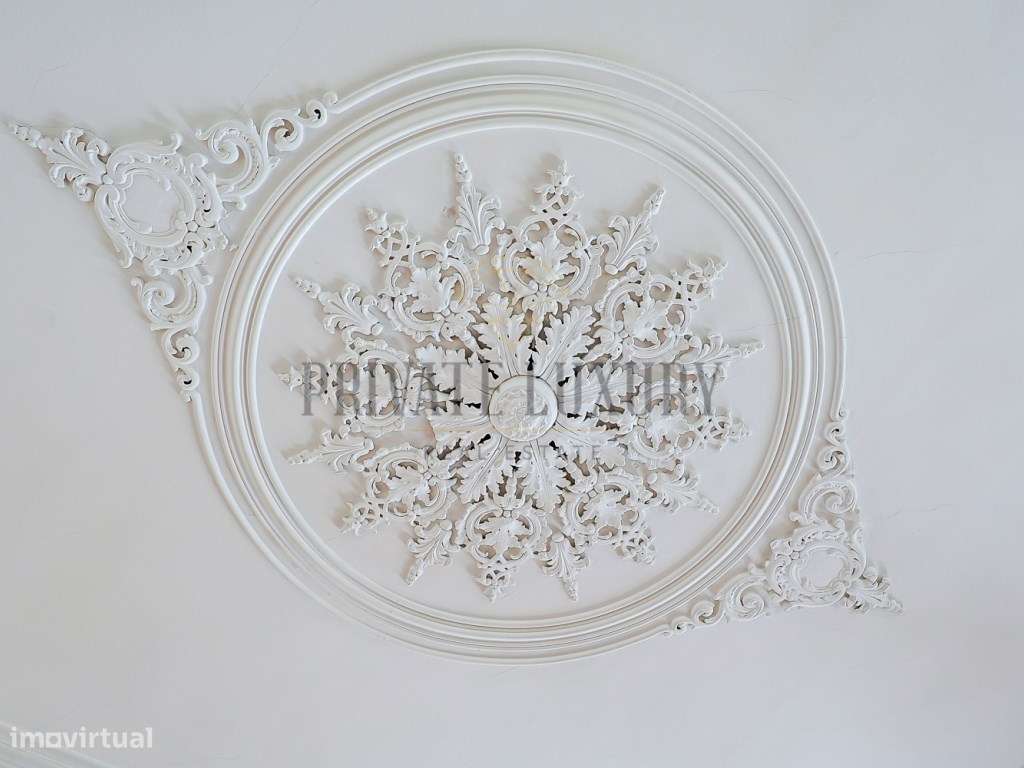 Apartamento Pombalino de Charme T5-29