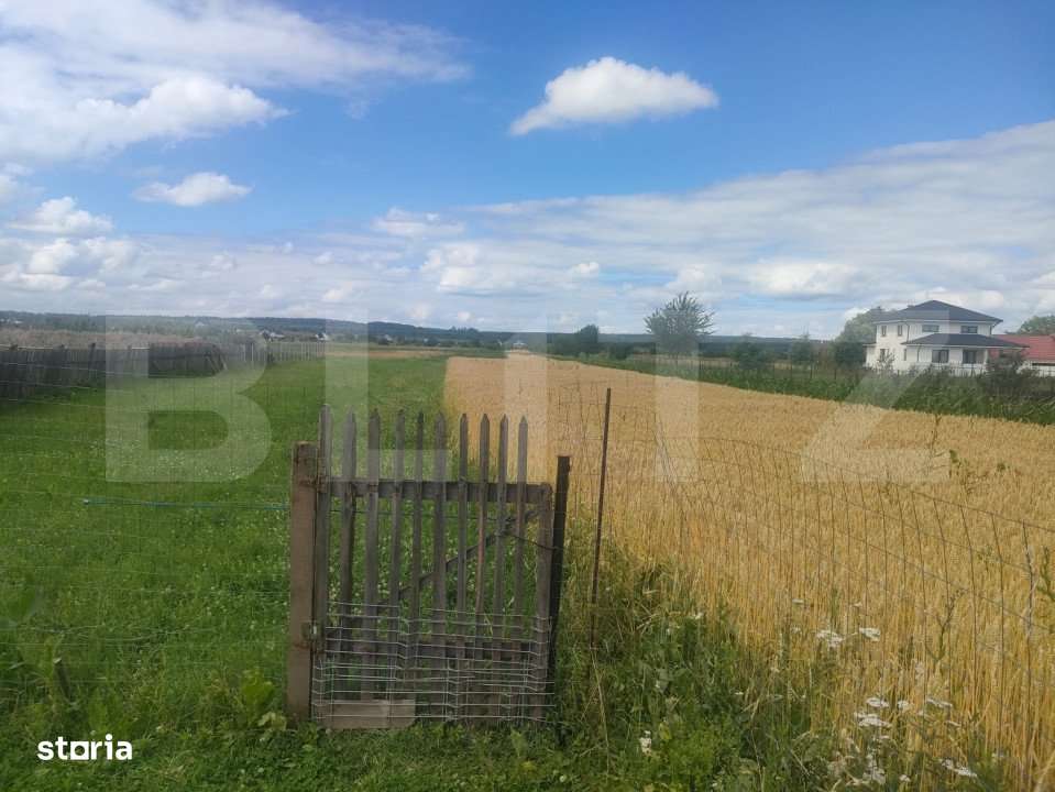 Teren intravilan la sosea, 6400 mp, Vicov de Sus - Imagine principală: 4/4