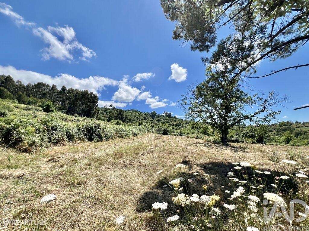 Terreno em São Paio de 24000,00 m2 - Grande imagem: 5/19