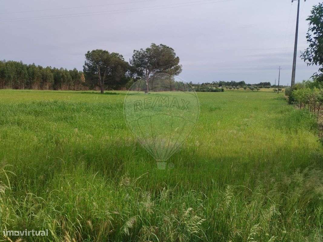 Terreno  para venda - Grande imagem: 3/4