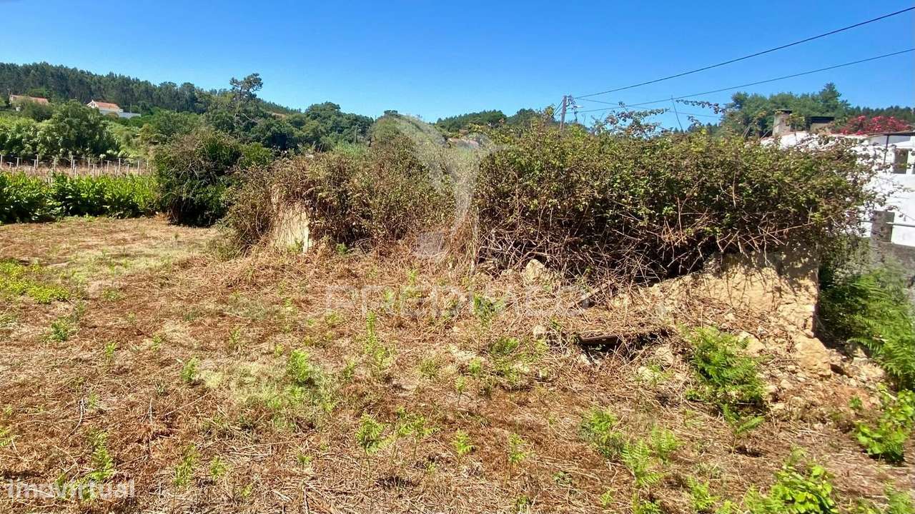 Ruina com Terreno Rio Maior - Abuxanas - Grande imagem: 2/5