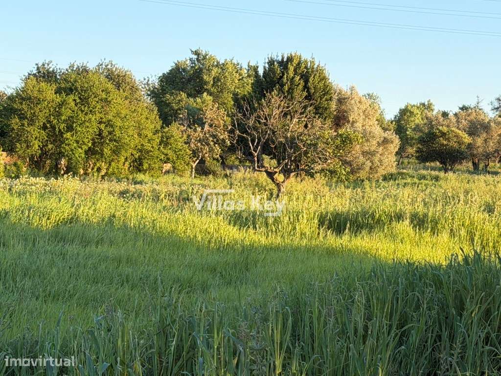 Terreno rústico com terra fértil para agricultura, tanque,nora,bons...-12