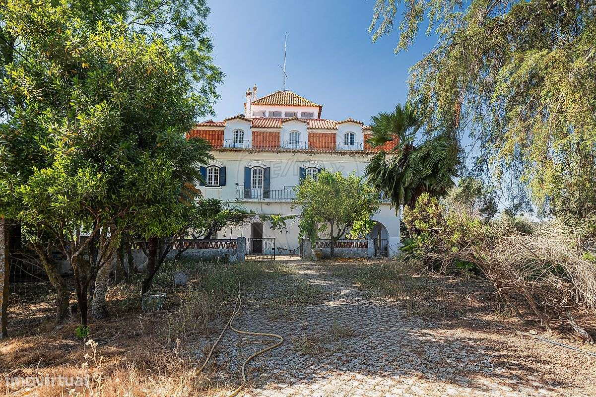 Quinta T13 para venda-4