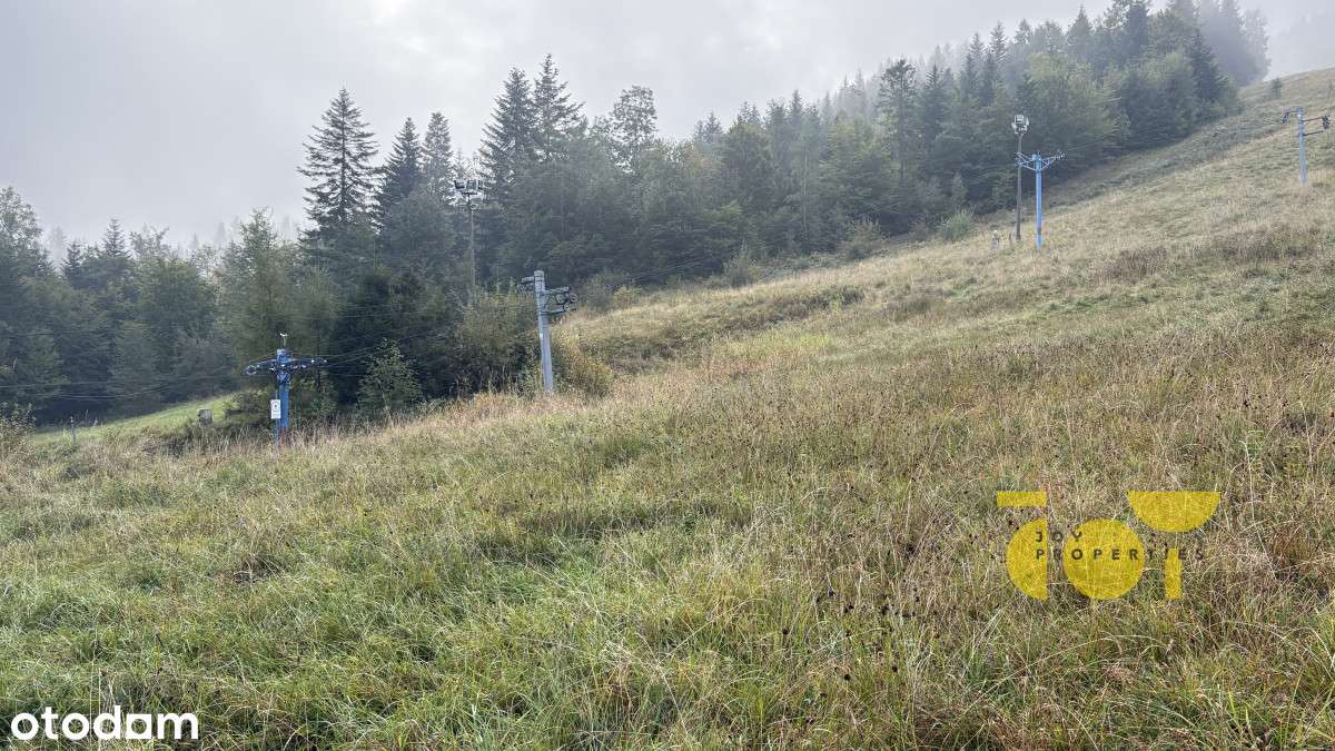 działka na sprzedaż w malowniczym Podhalu - Pełny obrazek: 4/13