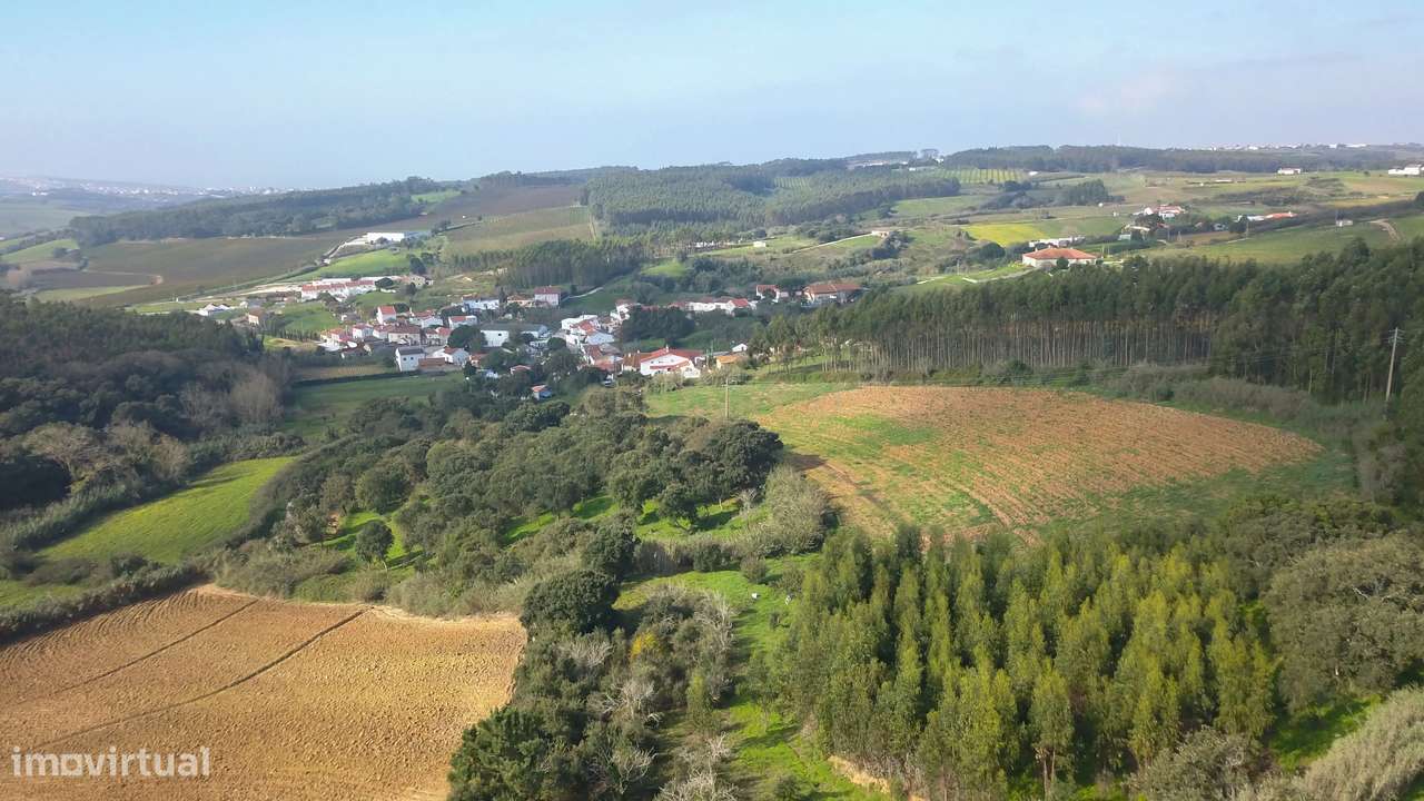 Terreno rústico de 11.160m² na aldeia de Toxofal de Cima, Lourinhã - Grande imagem: 5/9