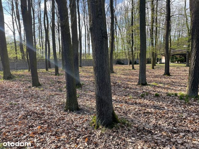 Działka pod zabudowę Głowno Zabrzeźnia