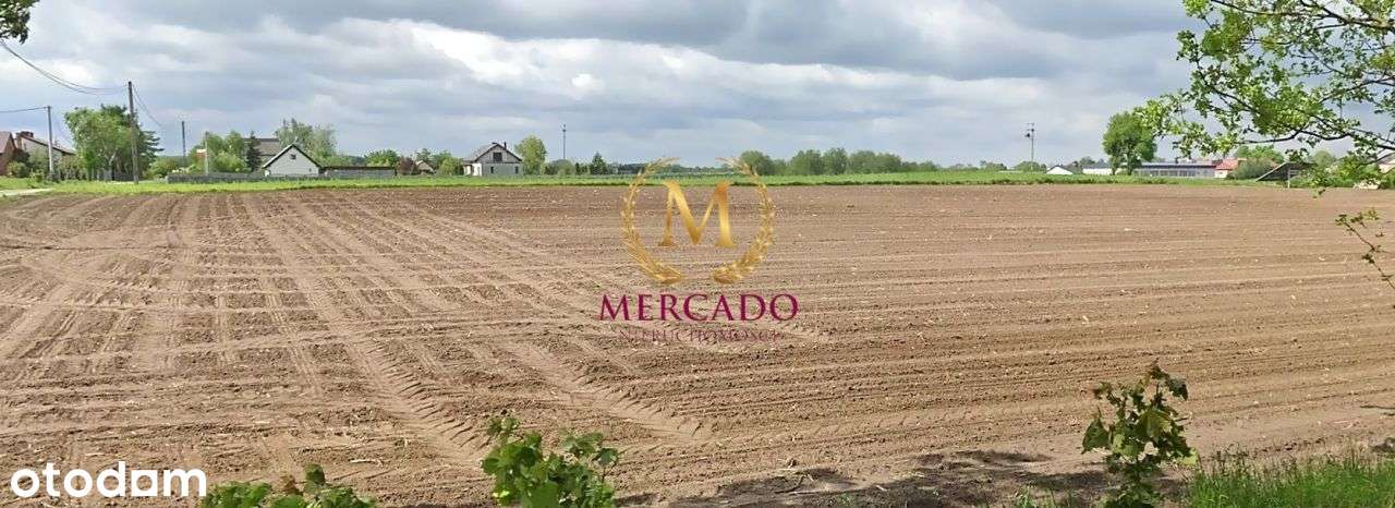 Działka, 5 768 m², Lipno - Pełny obrazek: 3/3