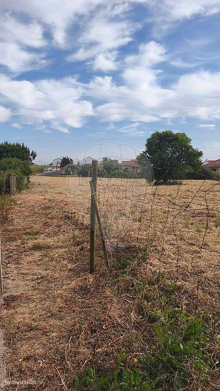 Terreno  para venda-9