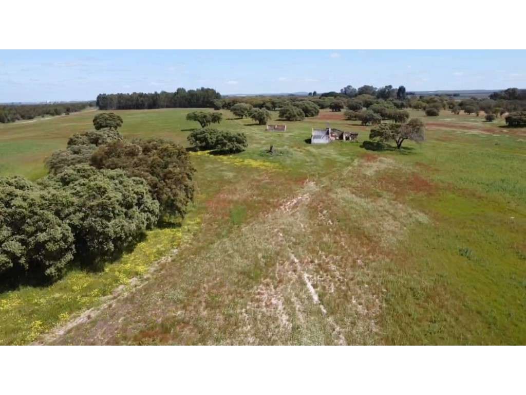 TERRENO DE 22,45 HA COM RUÍNA DE 240 M² PARA RECUPERAÇÃO EM FERREIR...-23