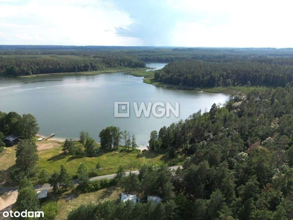 Na sprzedaż działka leśna we wsi Guty Rożyńskie - Pełny obrazek: 5/15