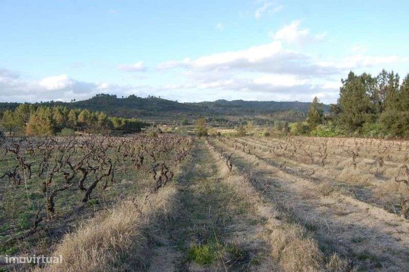 Terreno / Fundão, Três Povos - Grande imagem: 2/3
