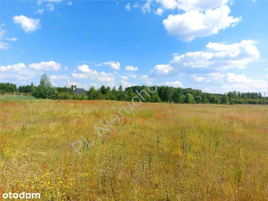 Działka, 1 000 m², Cyganka - Pełny obrazek: 4/8