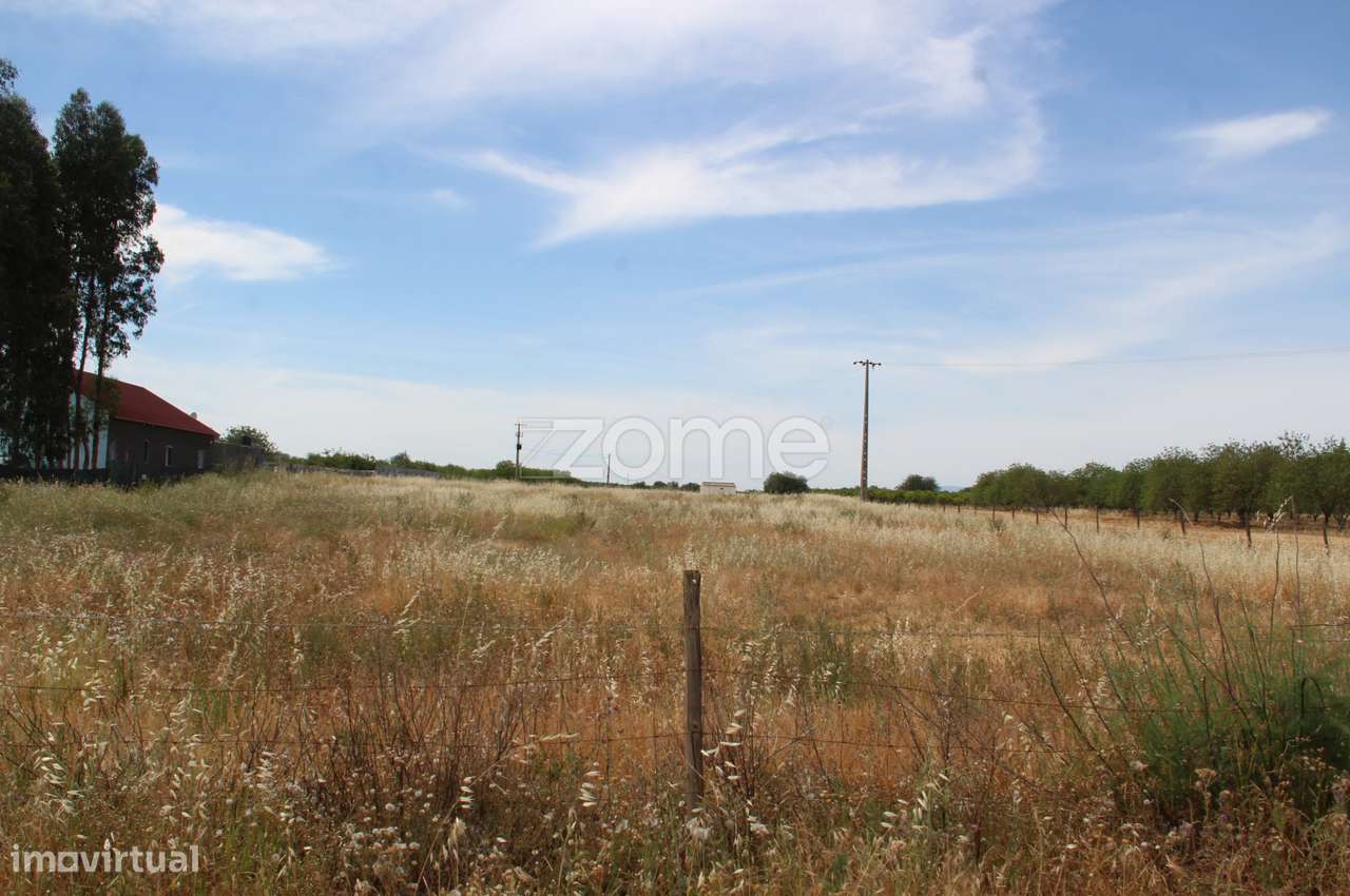 Terreno rústico com uma área generosa de 3 Hectares totalmente plan... - Grande imagem: 5/15