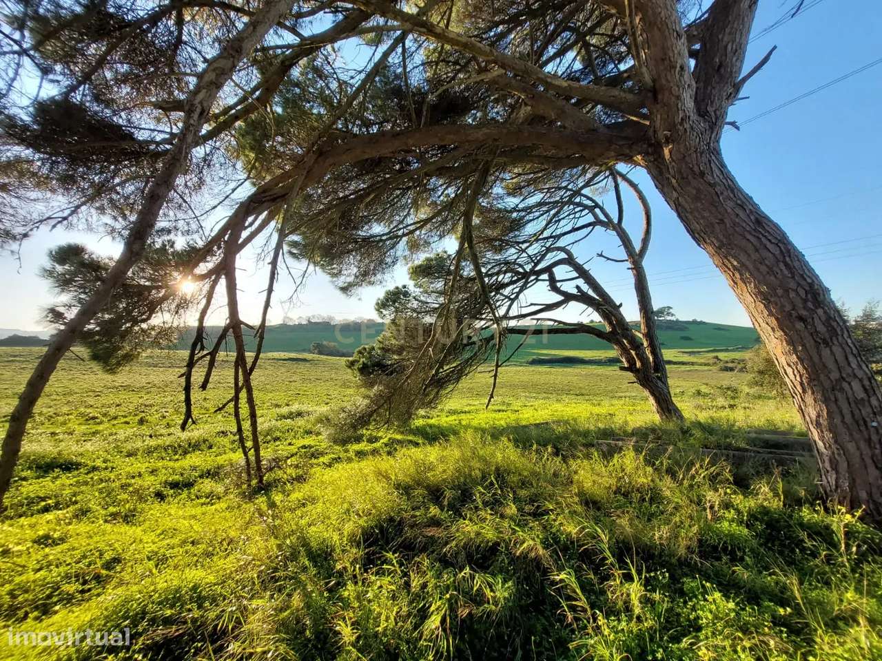 Quinta - 25 hectares-32