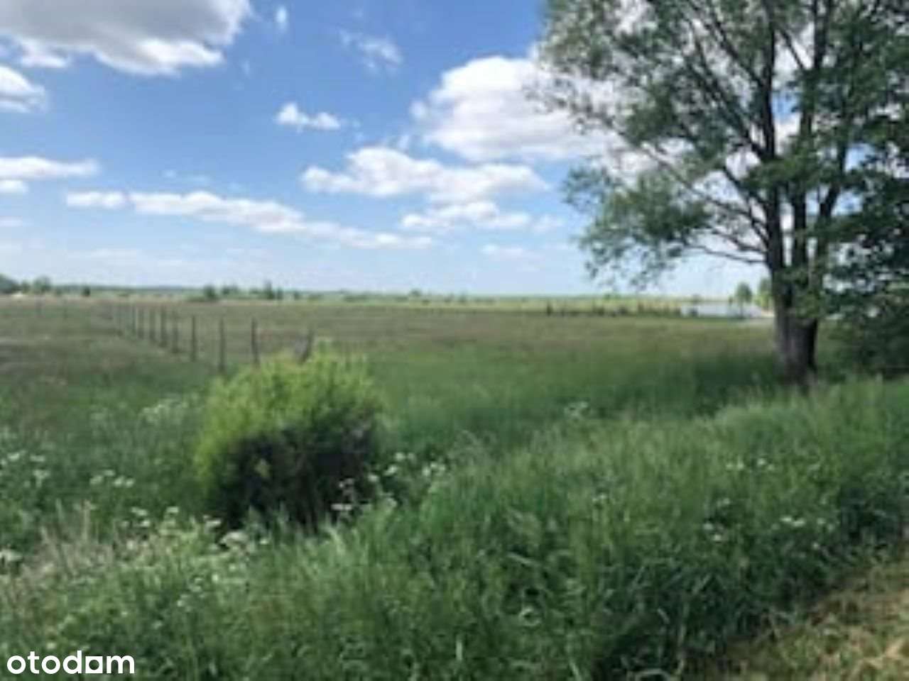 NA Sprzedaż Działki Kobylarnia-1