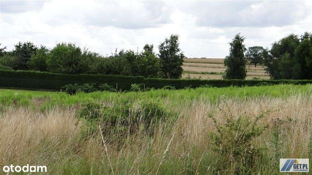 Działka 11,7 ara w Cianowicach, gmina Skała - Pełny obrazek: 4/8