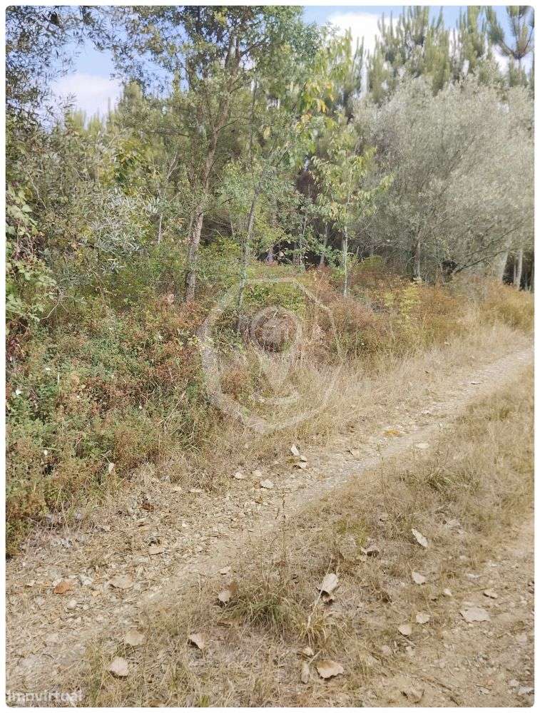 TERRENO - Grande imagem: 5/5