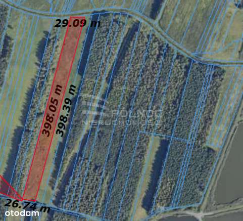 Piękna duża łąka z potencjałem w Pniówku!! - Pełny obrazek: 5/6