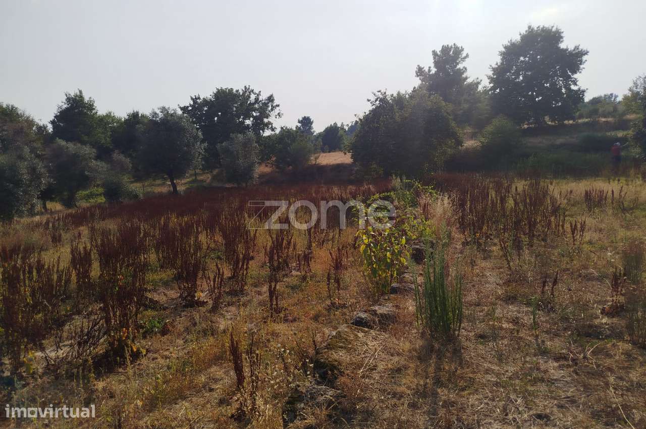 Terreno, 4 699 m², Santiago de Cassurrães e Póvoa de Cervães - Grande imagem: 3/19