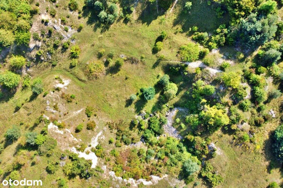 teren po kamieniołomie gmina Olsztyn 3,5ha - Pełny obrazek: 4/4