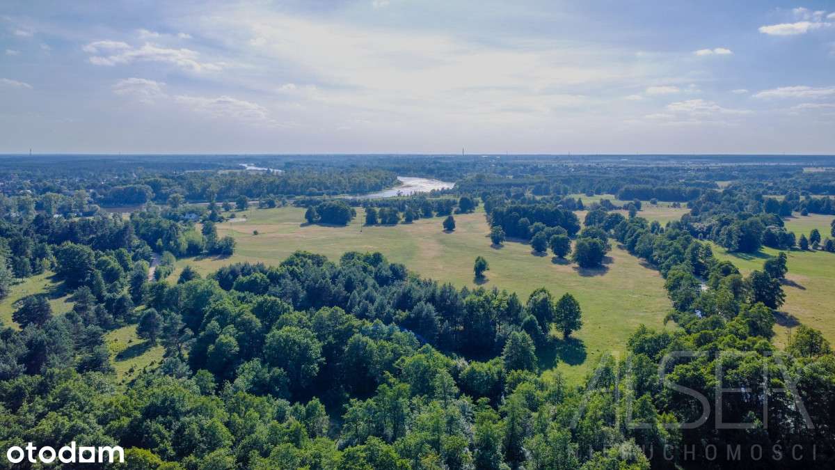 5 działek rekreacyjnych w Brańszczyk-Nakieł | 65zł - Pełny obrazek: 4/17