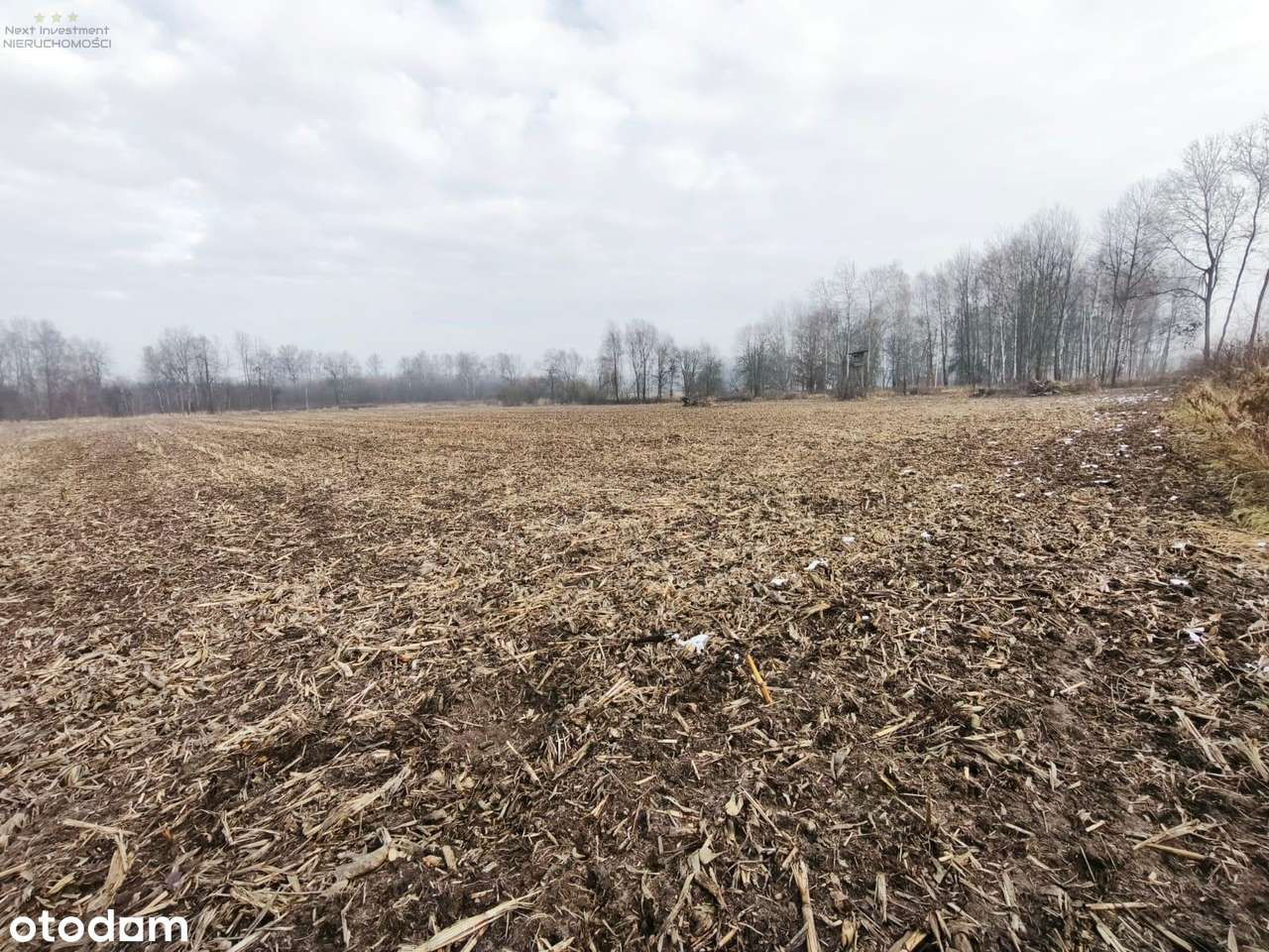 Dwie działki w kolejnej linii zabudowy Dzierżno-7