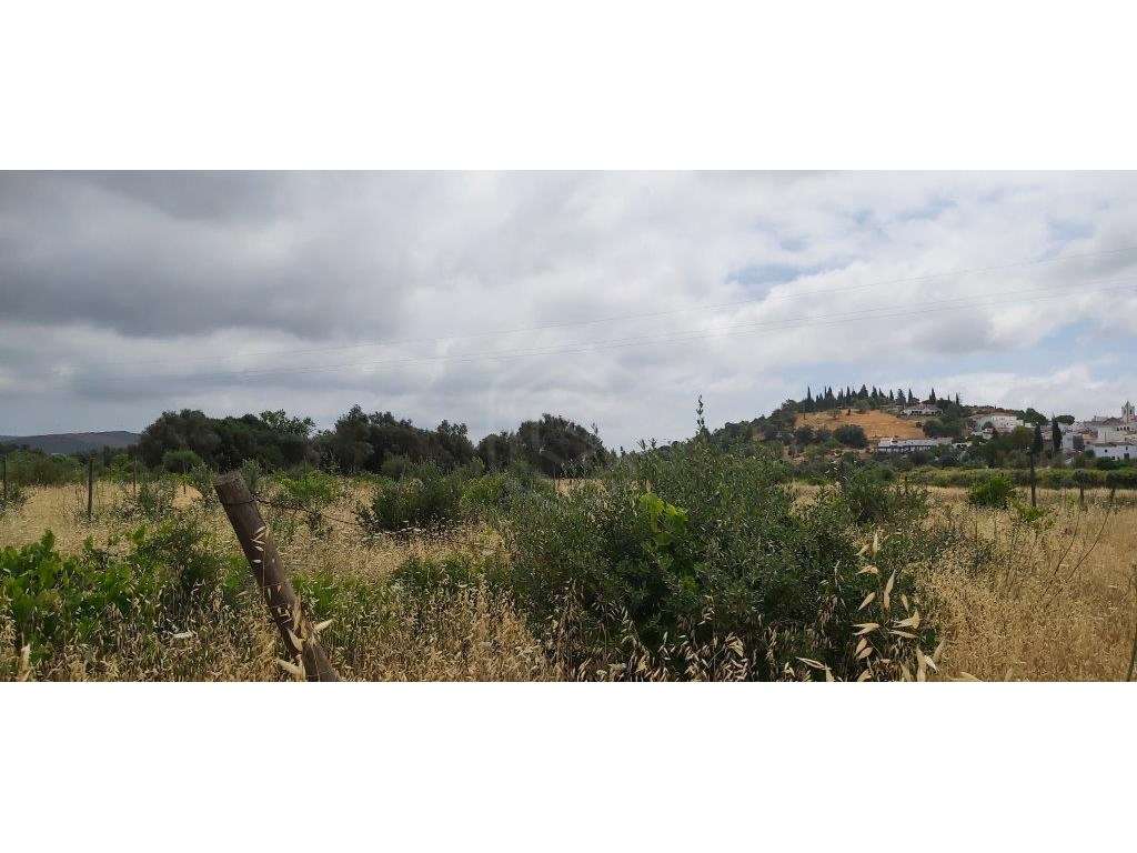 Terreno agrícola, várias culturas, Paderne, Albufeira, Algarve - Grande imagem: 4/15