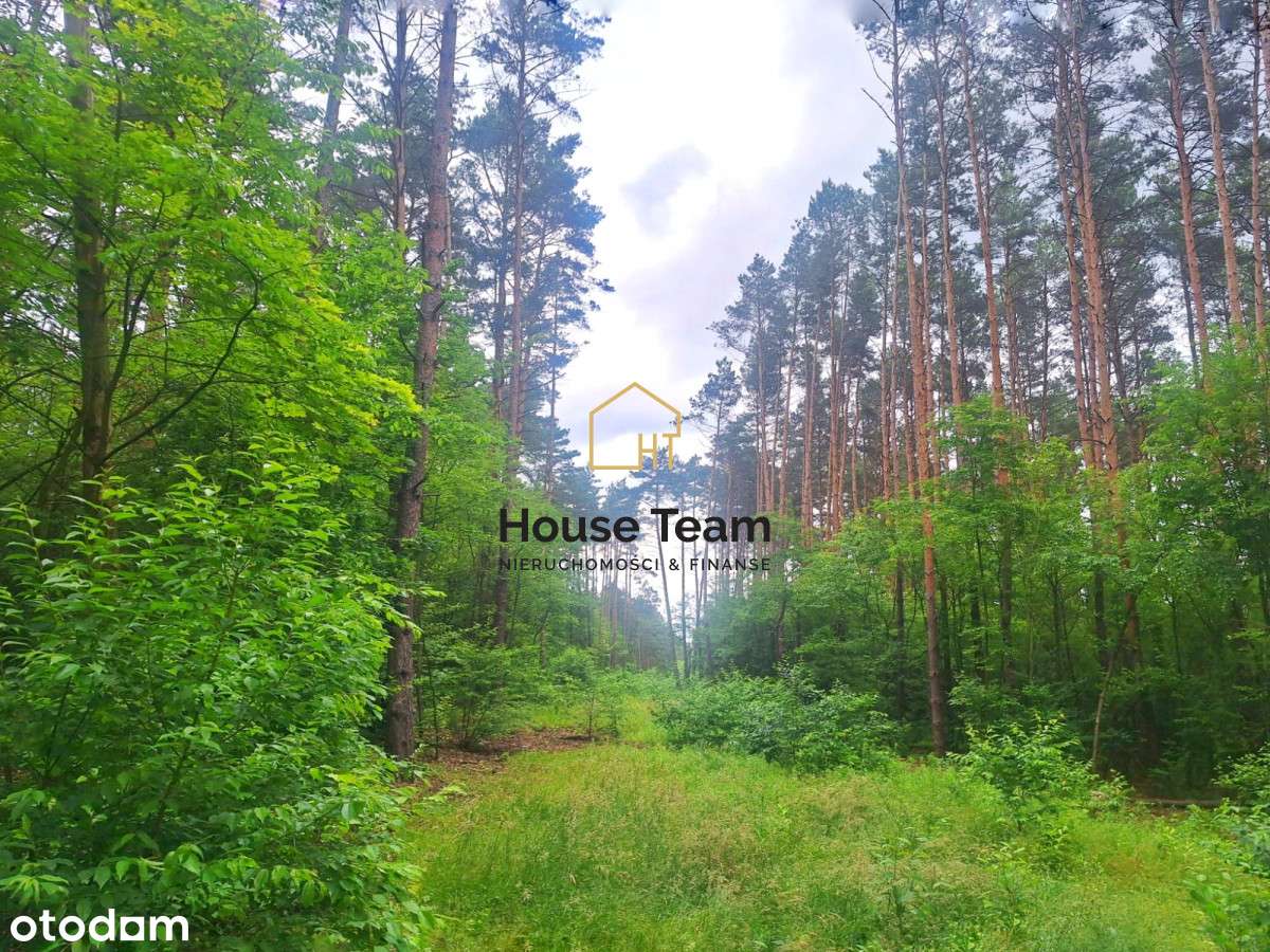 Działka z Mpzp - 1721 m2 - Smukała - Pełny obrazek: 1/14