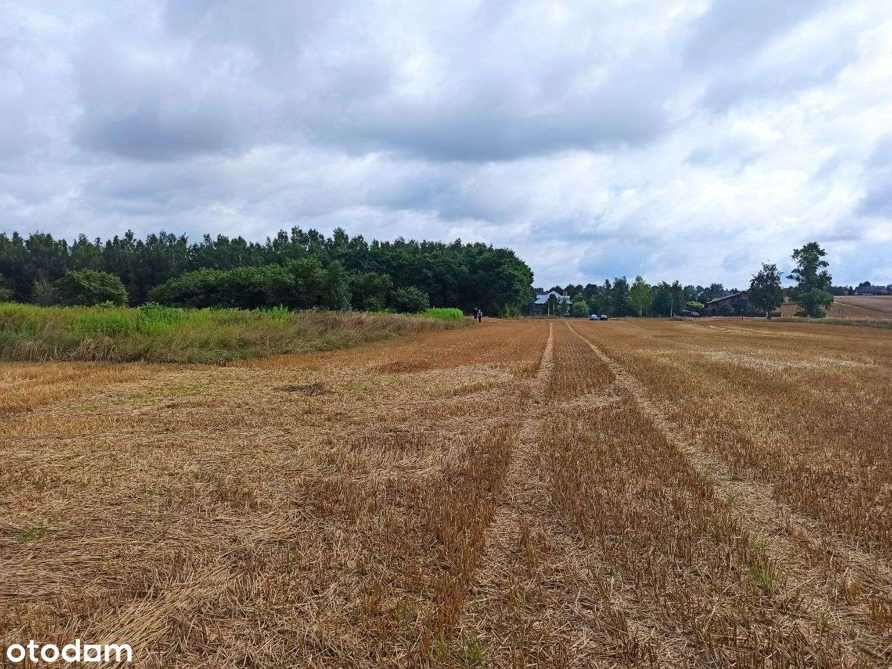 Atrakcyjne działki pod budowę, Niedrzwica Duża - Pełny obrazek: 5/7