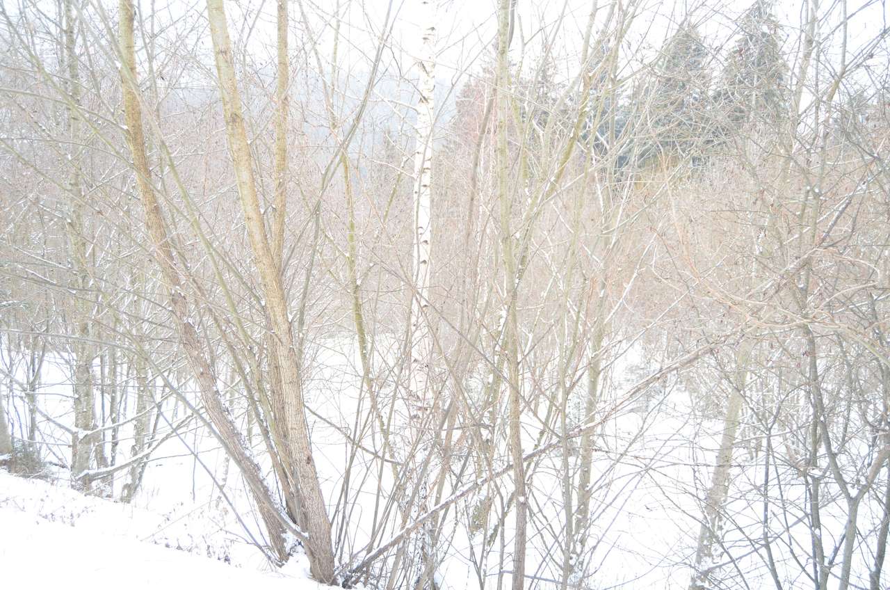 Teren intravilan situat in Predeal-5