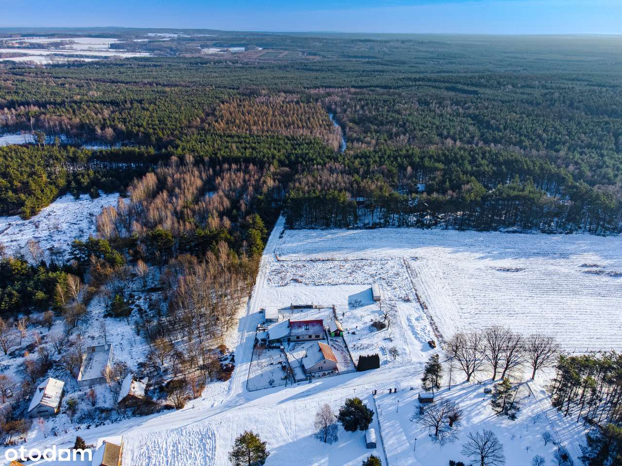 w lesie | nasłoneczniona | woda na działce-5