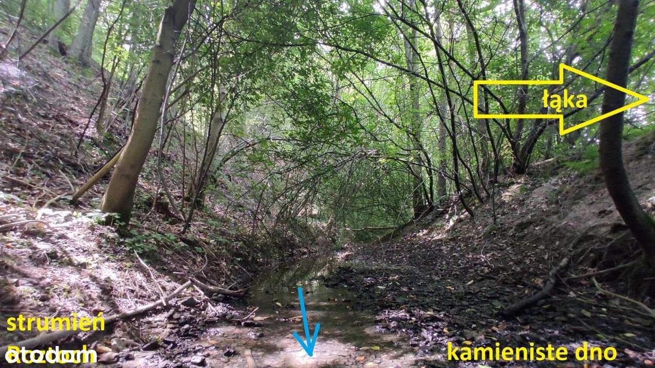 WIDOKOWA działka na WZGÓRZU z panoramą na Góry Św.-14