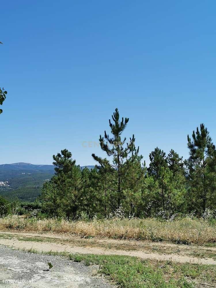 Casa de Campo na Lameirinha-42