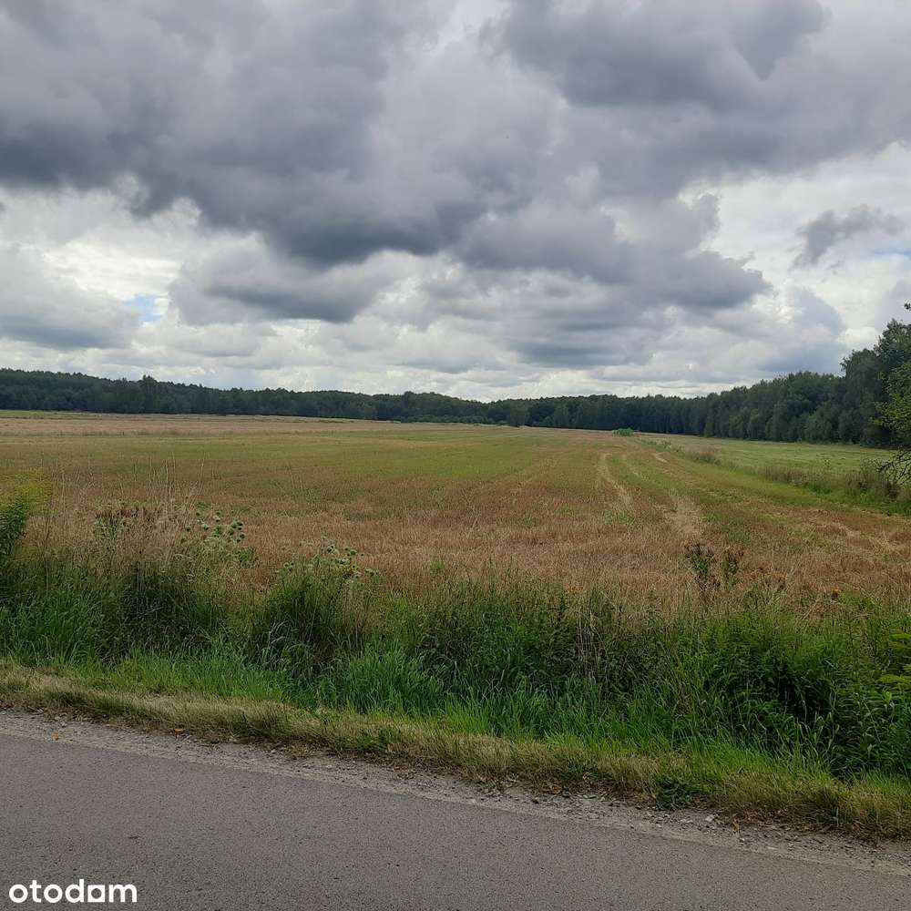 Działka budowlana Aleksandria, Puszcza Mariańska-9