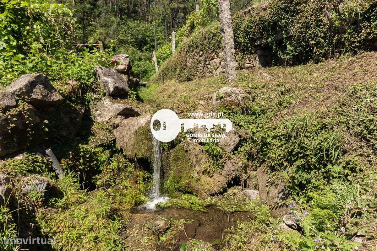 Quinta com 8000m2 de terreno em Pico de Regalados - Grande imagem: 4/26