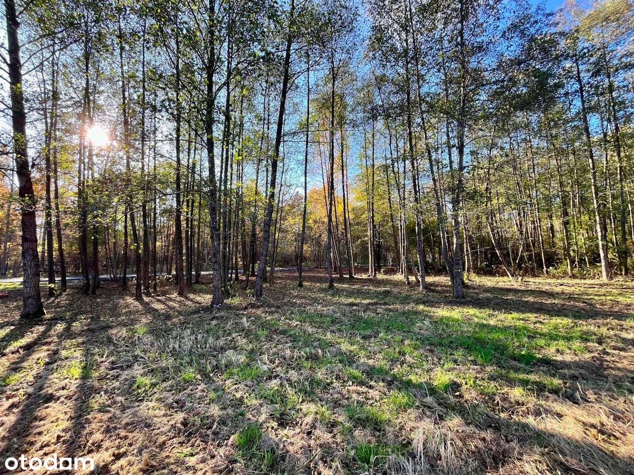 Gertrudów - działka budowlana - gmina Gomunice-6