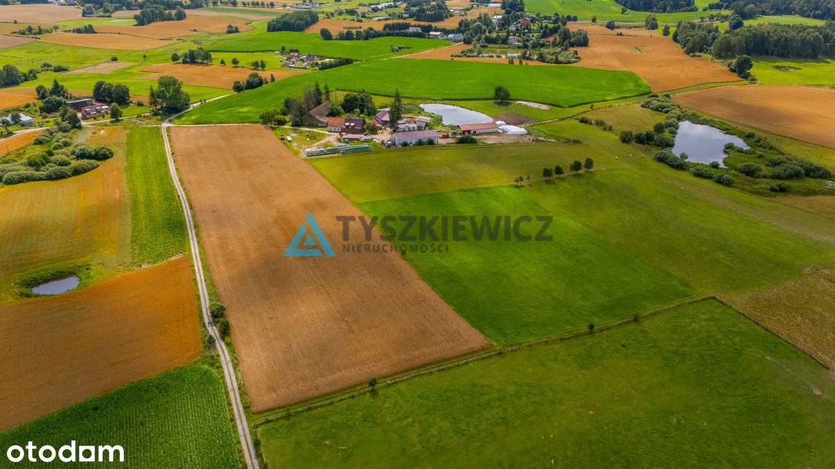 Działka rolna 1 ha w Przęsinie – tylko 100 000 zł! - Pełny obrazek: 5/17