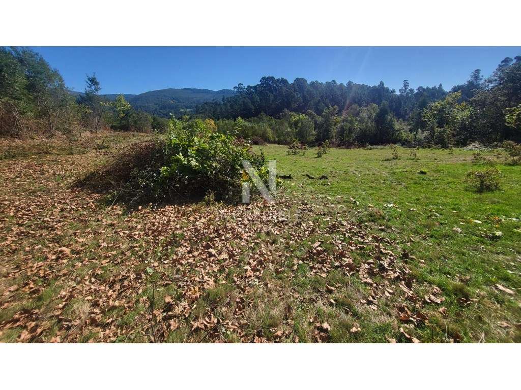 Terreno Rústico 5527 m² em Bucos, Cabeceiras de Basto - Grande imagem: 3/12