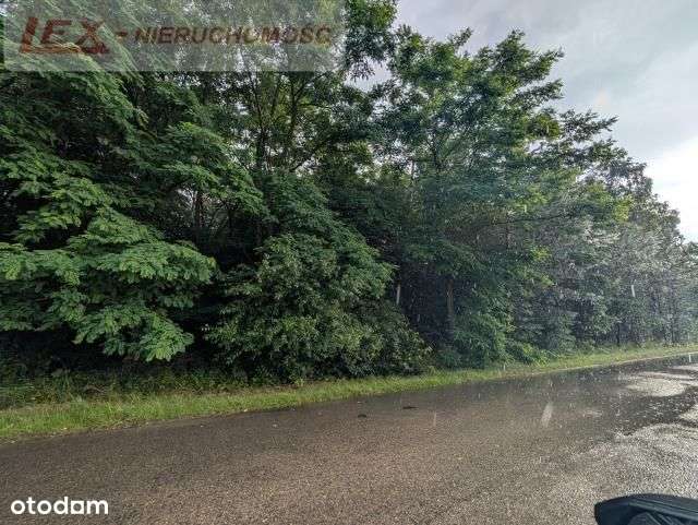 Spokojna okolica! Działka 615 m²-5