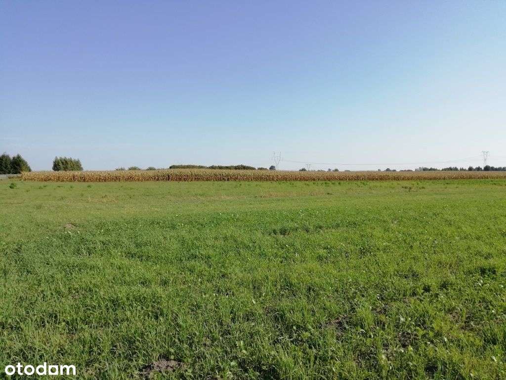 Działki Komorów. - Widok 4