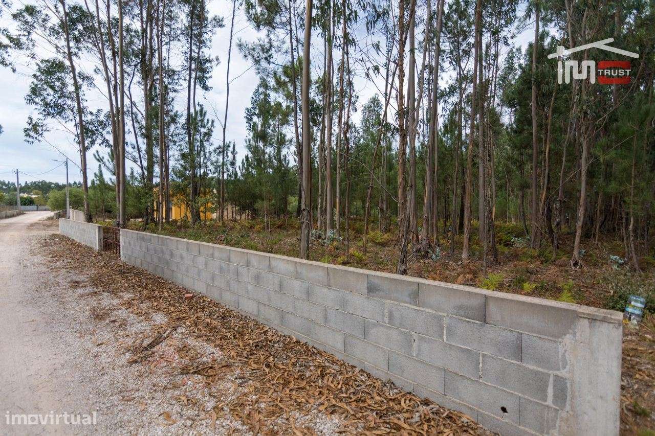 TERRENO RUSTICO COM AREA DE 2900 M2 BOA FRENTE DE ESTRADA EM MOITA ... - Grande imagem: 2/8
