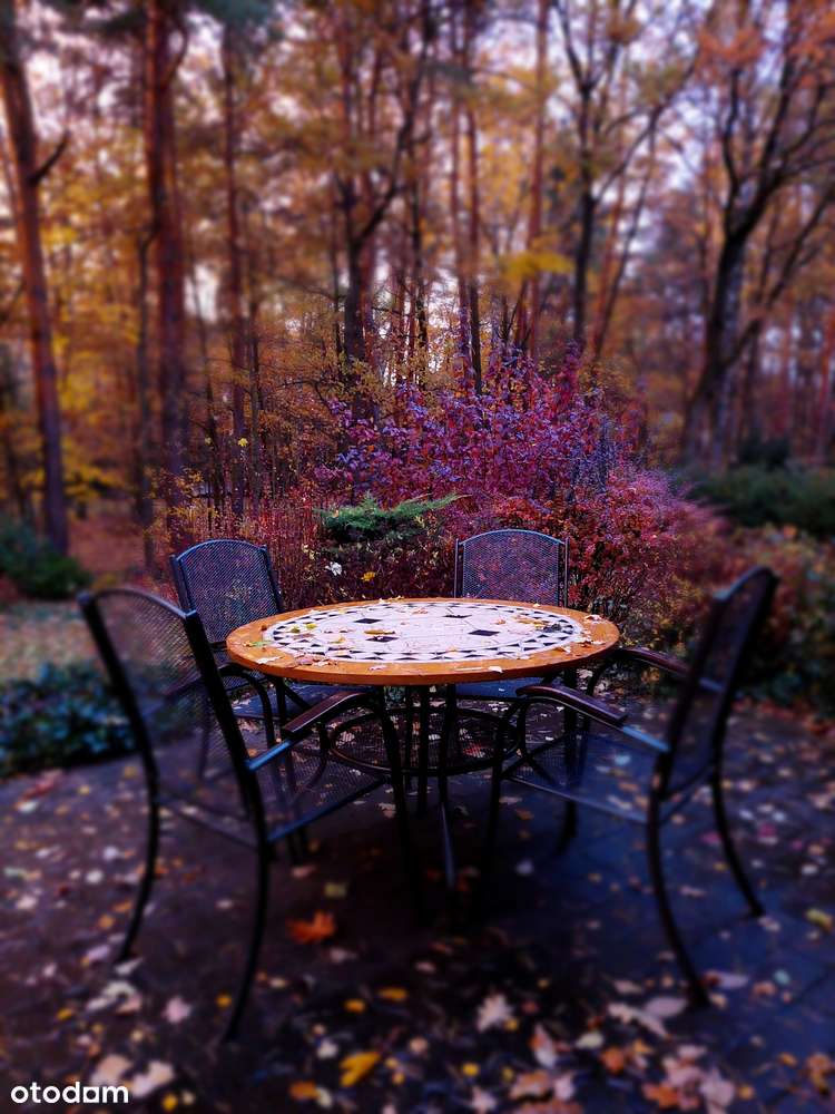 JAZGARZEWSZCZYZNA K/PIASECZNA - PARTEROWY DOM GOTOWY DO ZAMIESZKANIA-6