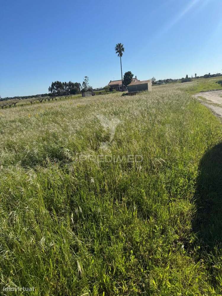 Terreno Misto a Venda - Grande imagem: 3/6