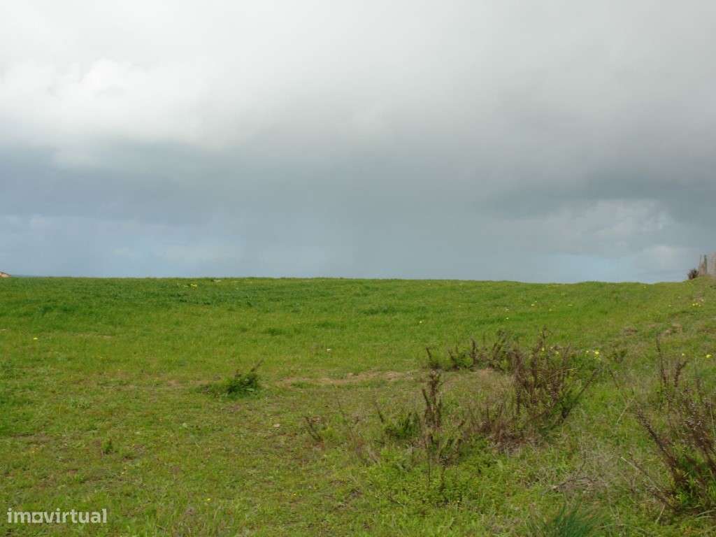 Terreno - Ilha do Pessegueiro - Grande imagem: 5/5