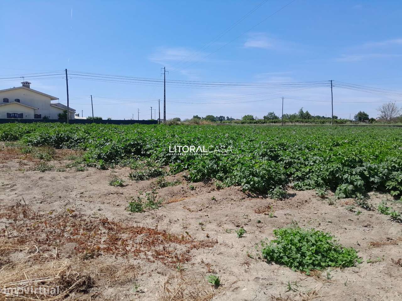 Terreno para construção com 2900m2 | Troviscal - Grande imagem: 4/12